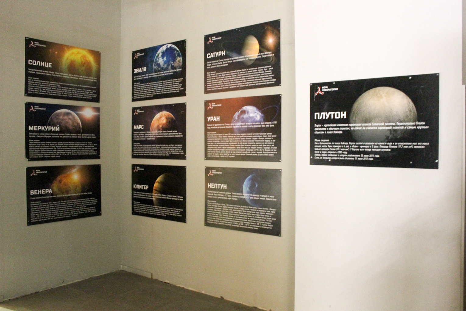 Шоу-выставка "Вселенная инопланетян"