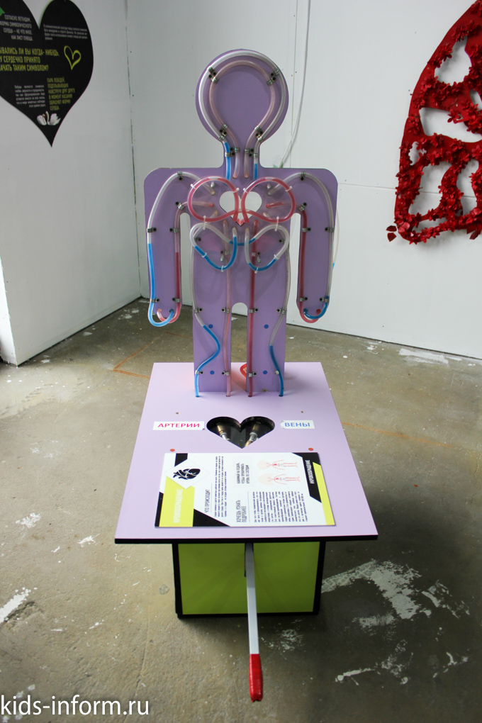 Выставка "Внутри человека" в Саратове