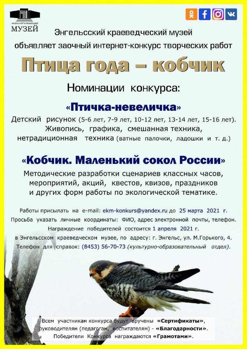 Конкурс птицы россии