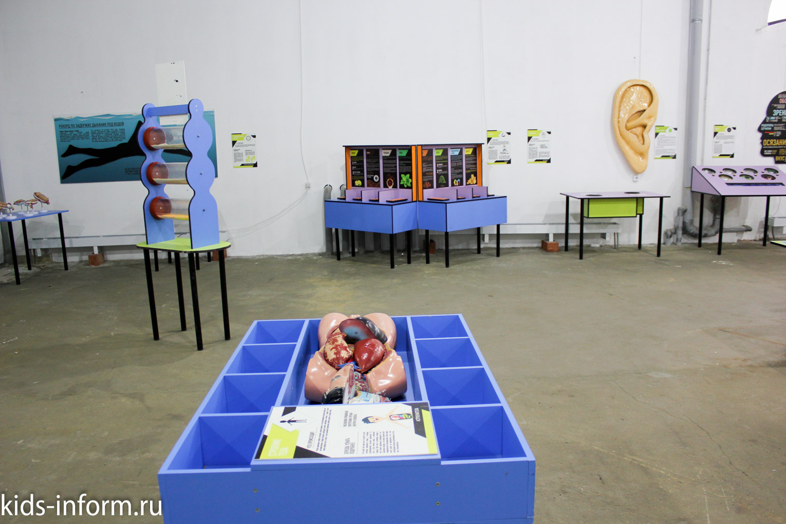 Выставка "Внутри человека" в Саратове